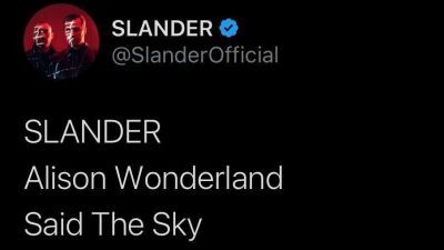 最強コラボ確定...!? Alison Wonderland、Said the Sky、SLANDER がタッグを組み、新曲 "Picture" を2022年12月30日にリリース！