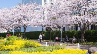 【東京ミッドタウン】ミッドタウン・ガーデンを彩る花々とアートを楽しむ春散歩「MIDTOWN BLOSSOM 2024」2024年3月15日 (金) から4月14 (日) まで開催