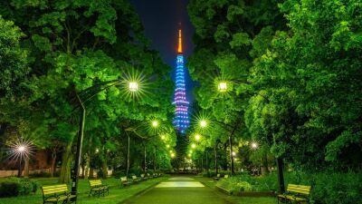ボタニカルな装飾の中、東京タワーとツリーやイルミネーションを眺めながらお酒や料理が楽しめる『Christmas Forest ‘22』都立芝公園にて2022年12月10日 (土) 〜25日 (日) に