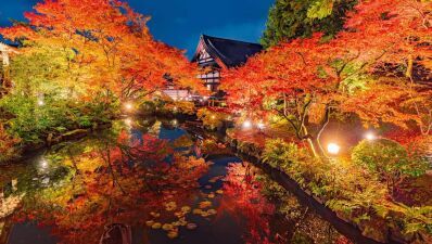 『NAKED GARDEN ONE KYOTO 2024』秋のガーデンが9月14日 (土) 〜12月8日 (日) まで開催…二条城、西本願寺など9カ所でライトアップ＆プロジェクションマッピング