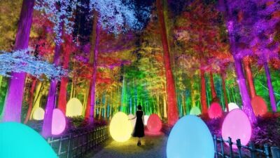 「チームラボ 偕楽園 光の祭」茨城・水戸で2月13日（土）〜開催、3,000本もの梅が咲き競う日本三名園・偕楽園をインタラクティブな光のアート空間に