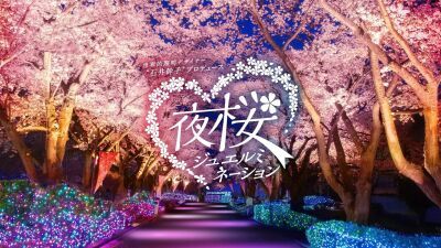 遊園地「よみうりランド」にてお花見 × 温泉が楽しめる『夜桜ジュエルミネーション』が3月19日 (火) ～4月7日 (日) の期間中、60周年特別バージョンで開催！