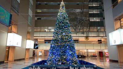 新宿NSビルに全長7メートルの巨大クリスマスツリーが出現！2022年11月21日 (月) ～12月25日 (日) まで。音と光のライティングショー連日開催、12月22日・23日にはゴスペルの演奏も