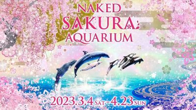 【マクセル アクアパーク品川 × ネイキッド】デジタルアートの桜で彩る海の世界のお花見『NAKED SAKURA AQUARIUM』2023年3月4日 (土) 〜4月23日 (日) まで開催