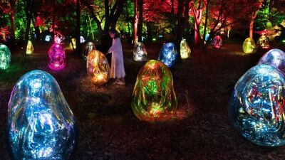 東京・浜離宮恩賜庭園にて夜の野外アート展『チームラボ 浜離宮』が2026年11月25日 (水) 〜12月24日 (木) まで開催