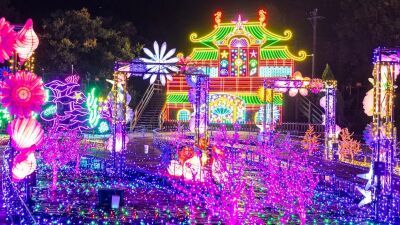 伊豆ぐらんぱる公園10周年記念イベント、体験型イルミネーション『伊豆高原グランイルミ ～10th Anniversary～』2024年11月9日 (土) よりスタート！