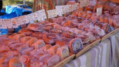 湘南エリアを中心に40店舗以上が集結する湘南最大級のパンの祭典『湘南パン祭り2025』辻堂海浜公園にて2025年2月23日 (日・祝) 開催