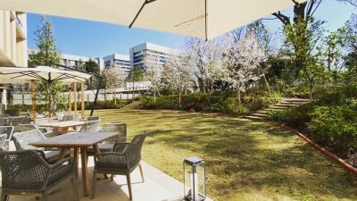 外気を楽しめる施設もたくさん！ 表参道 Rooftop Garden、E’VOLTA、WILDBEACH 木更津、幕張温泉など、近場で穴場なお出かけスポット