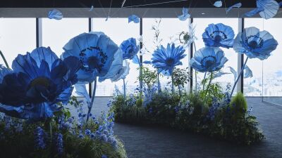 渋谷スクランブルスクエアの展望施設「SHIBUYA SKY」にて花と雲が溶け合う没入型幻想空間「Flowing Flowers｜想像が花ひらく、天空回廊」が5月14日 (木) 〜開催