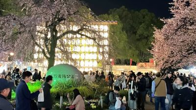 桜咲く上野公園に日本全国47都道府県ご当地グルメ店100店舗以上が出店『うえの桜フェスタ2026』3月14日 (土) ～4月5日 (日) に開催