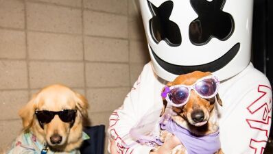 Marshmello（マシュメロ）、犬のおやつを作る