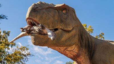 Excision (エクシジョン) 主催のダブステップフェス『Lost Lands 2023』から28のセットがApple Musicにてストリーミング配信決定