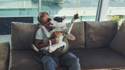 故Avicii (アヴィーチー) の忘れ形見の愛犬Liam (リアム)、首の炎症ができるも腫瘍ではないと判明でファン安堵