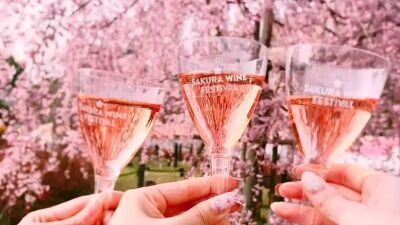 【4月1日・2日開催】名古屋・鶴舞公園にてお花見にピッタリのロゼワインを中心としたワインが集まるイベント『SAKURA WINE FESTIVAL』開催