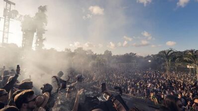 【フェスティバルと環境破壊】大自然の中で開催されるフェスやイベントの "騒音" が野生動物の生態系に被害を及ぼしている……？