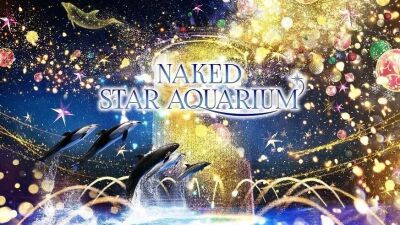 【マクセル アクアパーク品川】“星空の海” を舞台に生きものと過ごす唯一無二のクリスマス体験！『ネイキッド スターアクアリウム』2024年11月23日 (土・祝) より開催