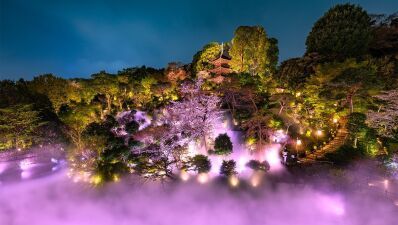 【ホテル椿山荘東京】オリジナルデザインの桜の花々が幻想的に映しだされる庭園内の新スポット『夜桜雲海と桜小路～光のアート～』4月9日 (日) まで開催中