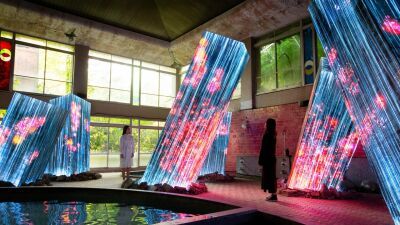 チームラボのアートとサウナシュラン２年連続日本一のサウナがコラボ！「チームラボ 廃墟と遺跡：淋汗茶の湯 - ジーシー」 佐賀・御船山楽園の紅葉まつりと共に開催