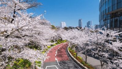 花々とアートに触れる！春のお散歩体験を東京ミッドタウンで…「MIDTOWN BLOSSOM 2023」2023年3月15日 (水) ～4月16日 (日) 開催