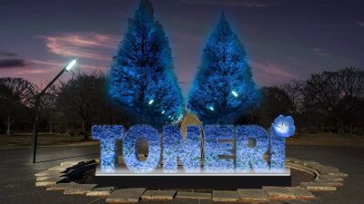 都内で有数の広大な景観が広がる「舎人公園」にてネモフィラの花々をブルーにライトアップ『花と光のムーブメント』が2025年4月11日 (金) より開催