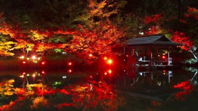 【八芳園】庭園が赤く染まるライトアップ！都内で見る幻想的な紅葉の世界『TOKYO RED GARDEN AUTUMN FESTIVAL 粋 2022』11月18日(金)～12月11日(日)まで開催