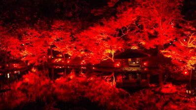 八芳園の庭園を赤に染めるライトアップイベント『TOKYO RED GARDEN 2024』が2024年11月23日 (土・祝) 〜12月15日 (日) まで開催、庭園をイメージしたコース料理やデザート