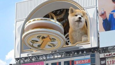 超巨大3Dカラクリ時計動画『秋田犬の子犬』が渋谷駅前エリアにある日本最大級の「シンクロ7シブヤヒットビジョン」に毎時0分に出現！