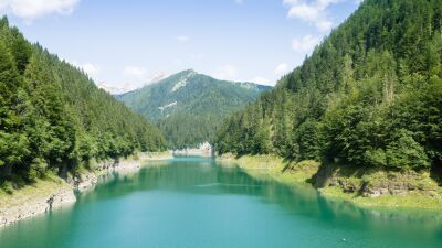 近くの湖で参加者が死体で発見、注射器が散乱、新型コロナ感染、性的暴行多発、犬が飢餓と熱中症で死亡、羊が殺され、更に出産する人まで……6日間の違法レイヴが超カオスでまるで地獄のような様相……イタリア