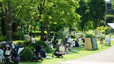【東京ミッドタウン】テイクアウトフードや多彩なマルシェが登場！都会の広大な芝生の上でピクニックを満喫できる『MIDTOWN OPEN THE PARK 2025』2025年4月25日 (金) より開催