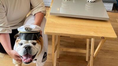  イギリス/ノッティンガムの夫婦、愛犬の9歳の誕生日パーティーに3,000ポンド（約45万9000円）を費やし、等身大レプリカのケーキとミュージックビデオまで作成