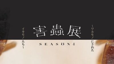 「ゴキブリを殺したくない！」害虫防除会社二代目女性社長が主催する、アートを通して“害虫”とは何か？を考える「害蟲展 season4」が作品の公募開始