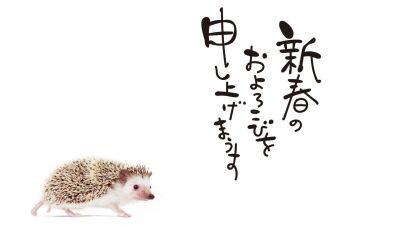 2020年、一体どうなる音楽シーン!? iFLYER 編集部員の一言予想 ＆ 新年のご挨拶
