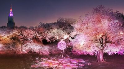 新宿御苑とネイキッドが初コラボ！夜桜イベント『NAKED桜の新宿御苑2023』が2023年3月31日(金)～4月23日(日)まで開催決定