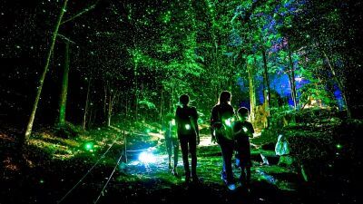 東京・代々木公園の豊かな自然を舞台に、光と音が織りなす没入感あふれる空間体験型イルミネーション「代々木フォレスト・オブ・ライツ ～光の森～」11月13日 (金) 開幕
