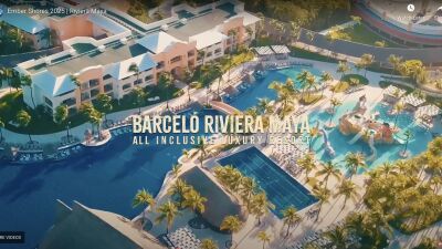 メキシコ政府、ILLENIUMのフェス「Ember Shores」開催予定地である「Barceló Riviera Maya」のイルカショーを規制違反と動物福祉への懸念により閉鎖