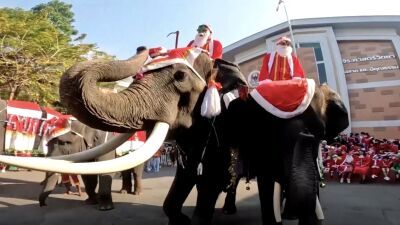 タイのサンタは象に乗ってやってくる!? アユタヤの小学校に象に乗ったサンタが登場、やたらインパクトのあるタイ伝統舞踊のダンサーも引き連れてちょっぴりカオスな雰囲気に