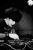 DJ Michi-Silve