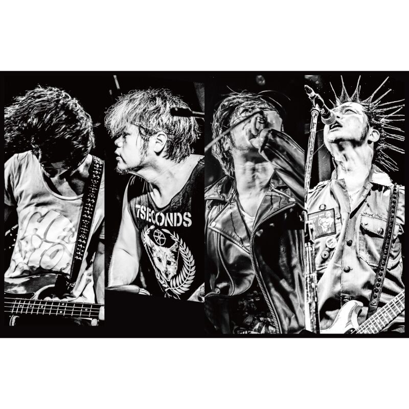 STANCE PUNKS