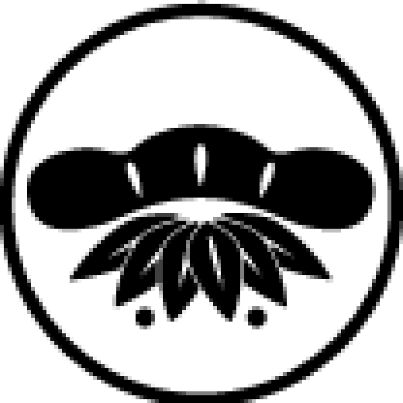 1/29（日）キタレ！トライアウト