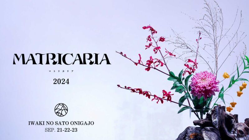 MATRICARIA 2024