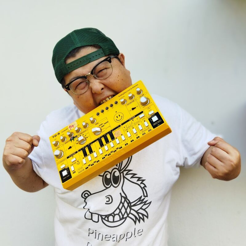 Atsuo The Pineapple Donkey