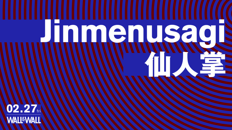 Jinmenusagi / 仙人掌