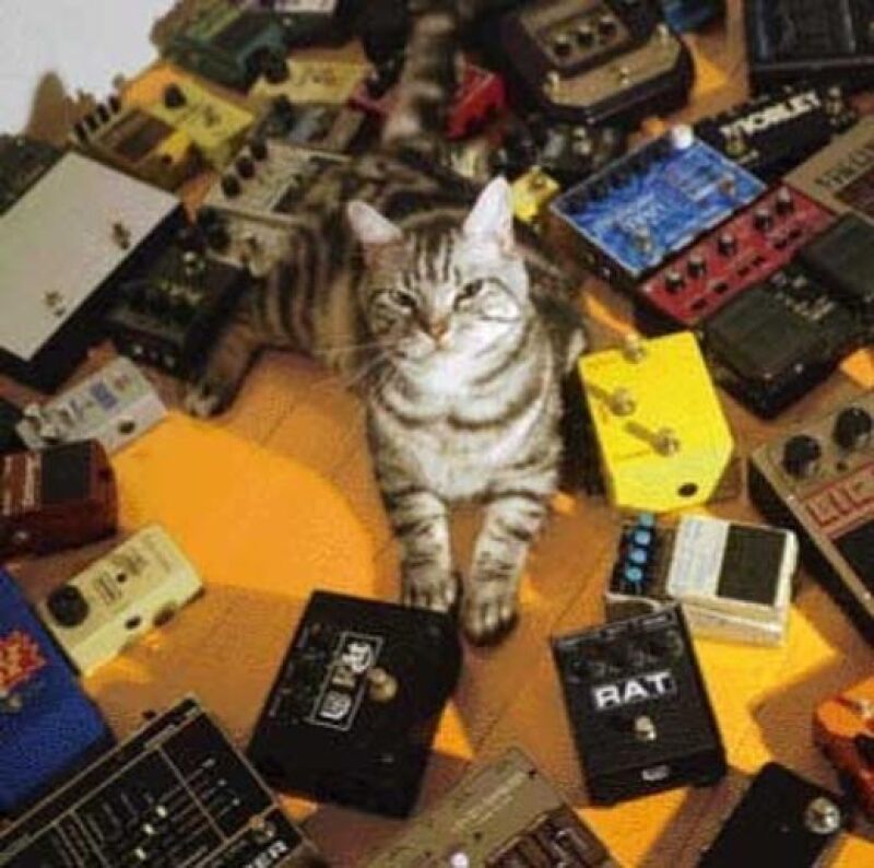 Tokyo Shoegazer