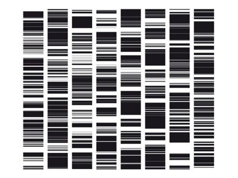 Ryoji Ikeda