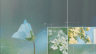 compilation album 「Fragment;」